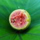 Guawa- egzotyczna bomba witaminowa