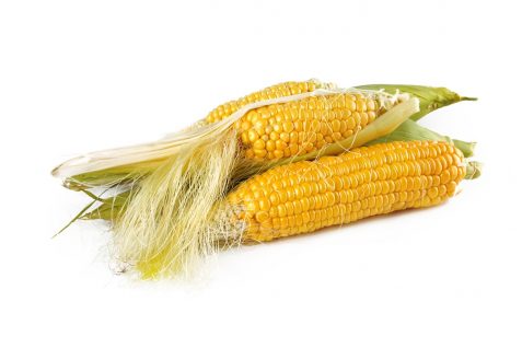 Olej kukurydziany- właściwości i zastosowanie
