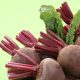 Burak- czerwone warzywo znane od wieków